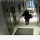 Mees jättis rihma otsas oleva koera liftist välja (video)