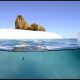 Filmi “Blue Planet II” kaadritagused – morskade filmimine jääkülmas vees