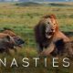 Uskumatud kaadrid lõvist kes üritab kaitsta end 20 hüääni rünnaku eest