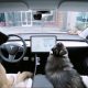 Tesla tutvustas uut funktsiooni – “koera režiim”