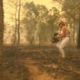 Lahke Austraalia naine võttis pluusi seljast ja jooksis põlengu keskele, et päästa koaala karu
